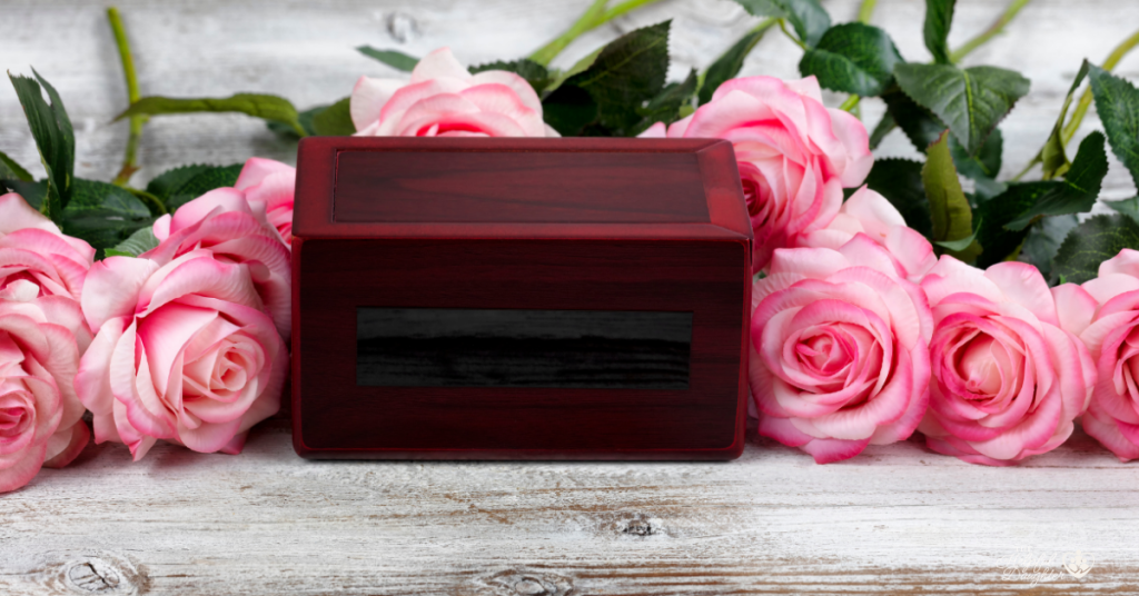 how much does cremation cost without services